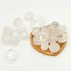 Clear Crystal(100g/bag)
