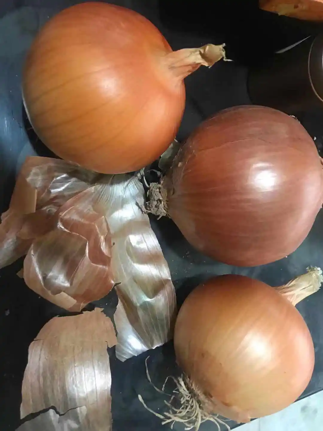 Best Quality Red Onion 50/70mm China Fresh Town Supply