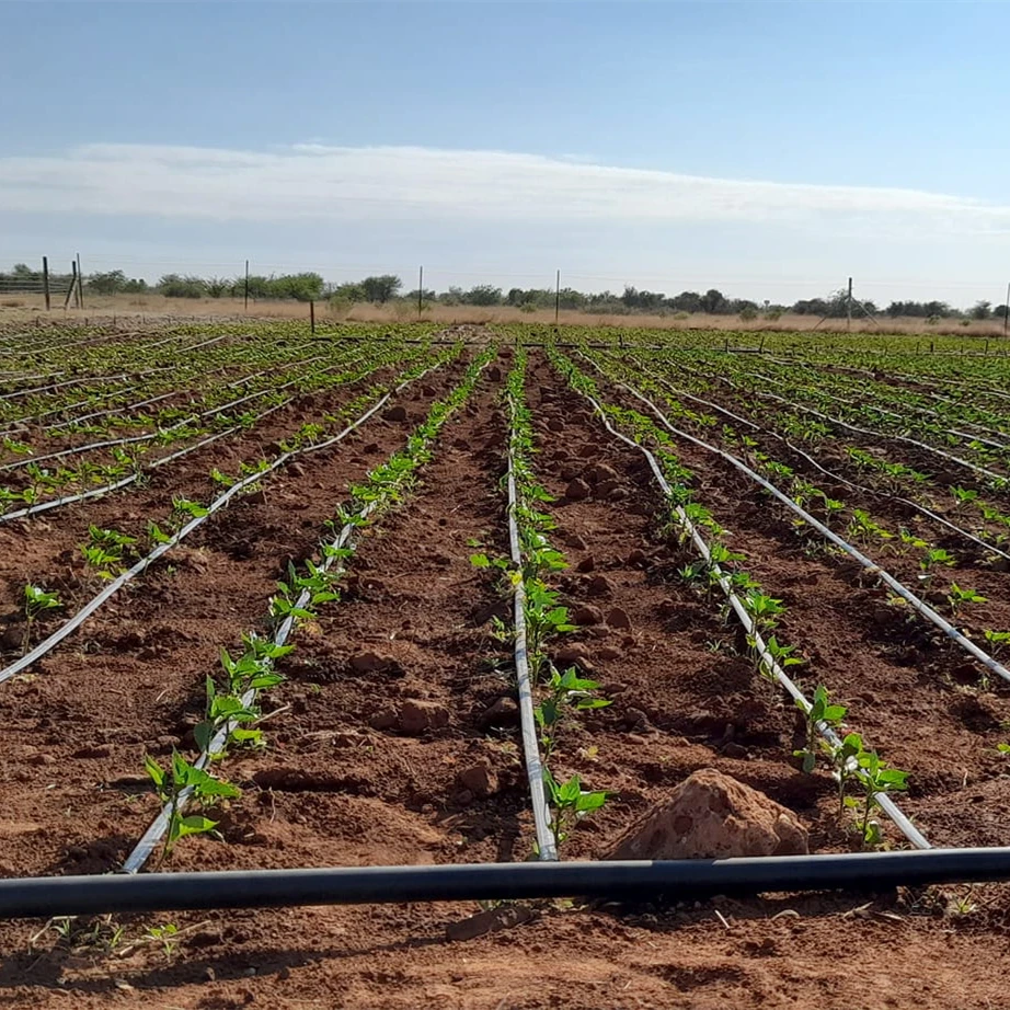 Farm Drip Line Water Hose Pipe Drip Irrigation System 1 Acre Kit 15cm Drip Tape 16mm 10cm Distance