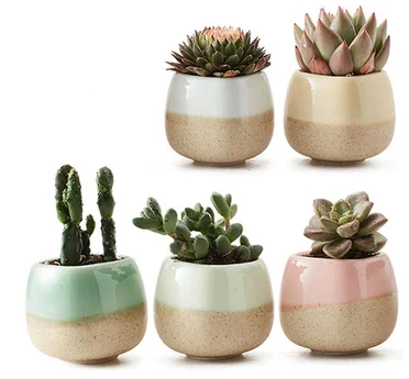 New Arrival Tooth Shaped Rustic Small Ceramic Succulent Planter