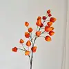 Orange rouge