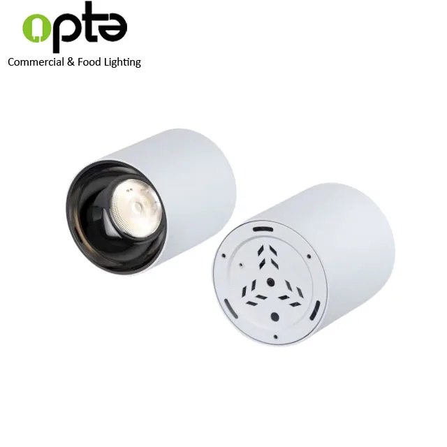 
Современный наружный круглый потолочный светильник мощностью 30 Вт, цилиндрический светодиодный потолочный светильник с поверхностным креплением IP65 