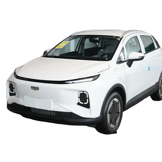 Geometry 2023 New Design Battery EV Car Geometry E 2023 301KM 5 Seats New Energy Vehicle Auto Electric Car