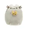 Gatto dei biscotti