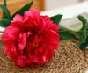 Rose rouge