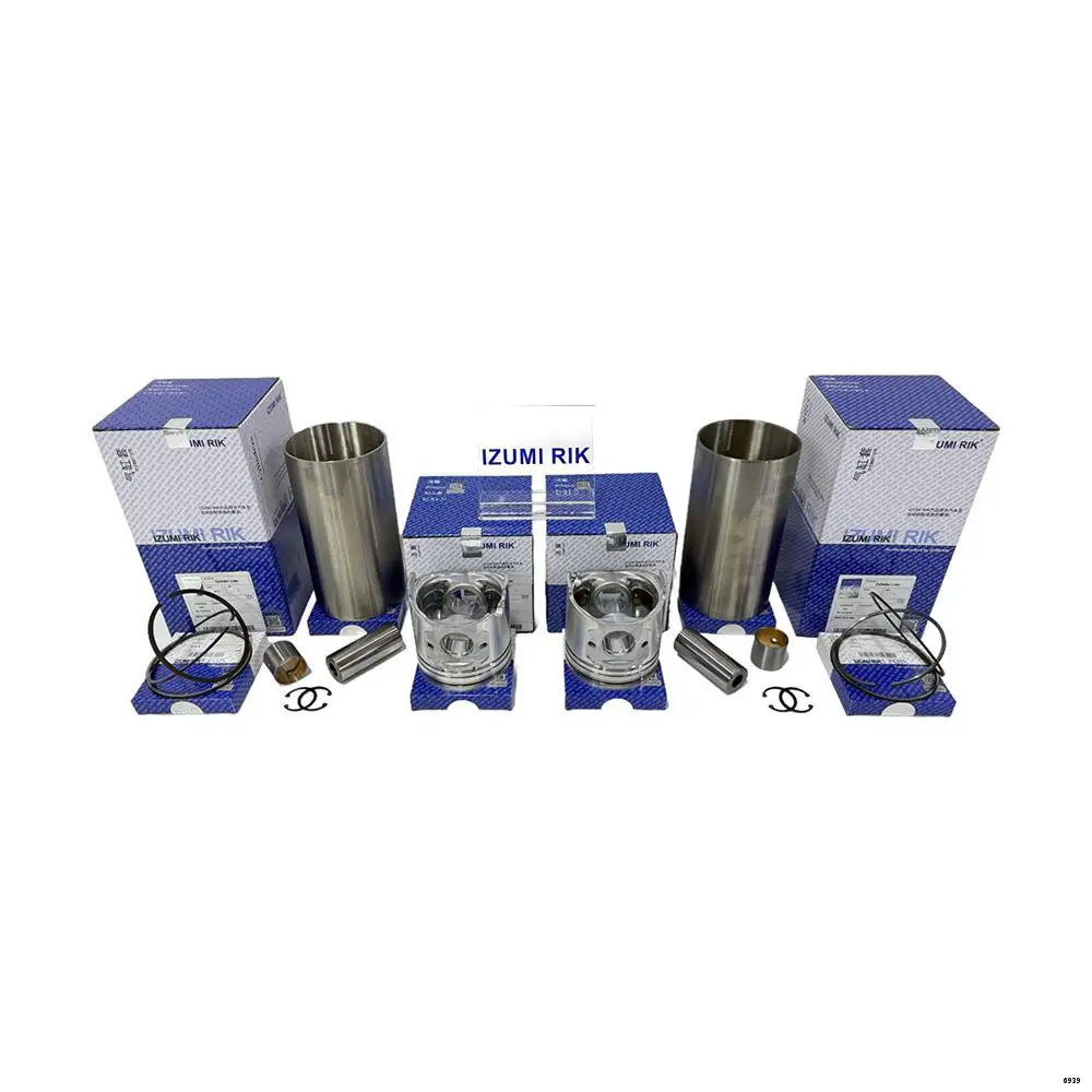Durable Engine Parts IZUMI RIK Overhaul Rebuild Kit for Deutz F2L1011F