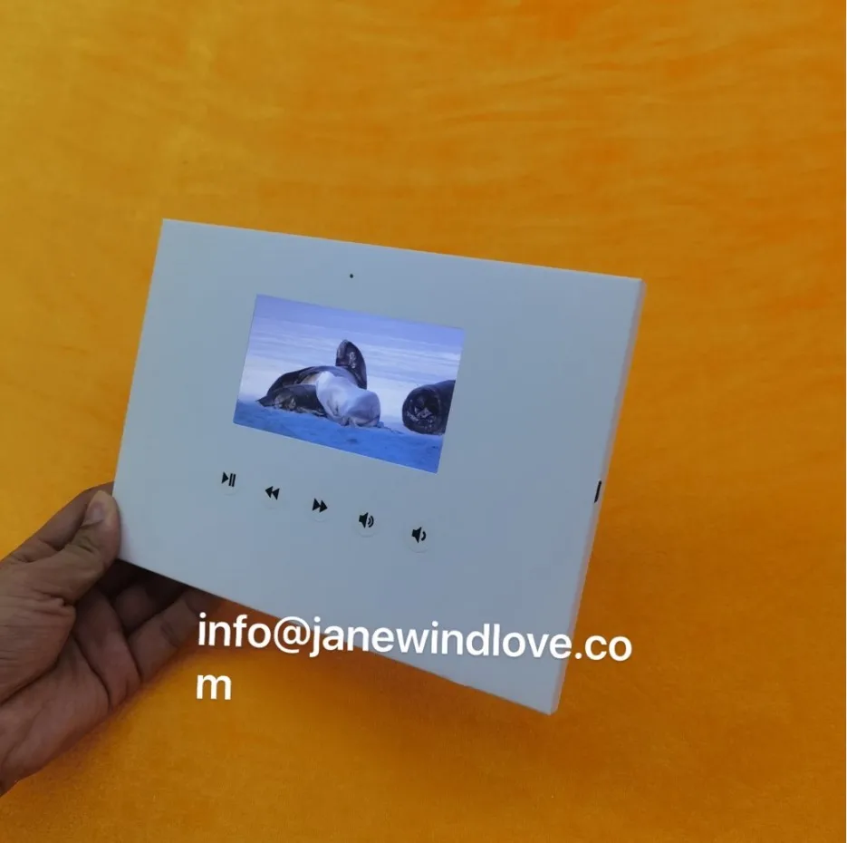 video module 4 (3)