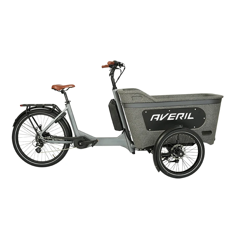 Three Wheel Bicycle Cargo Triycle Front Loading Cargo Cargo Bike for Sale