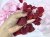 Petalo di rosa bordeaux