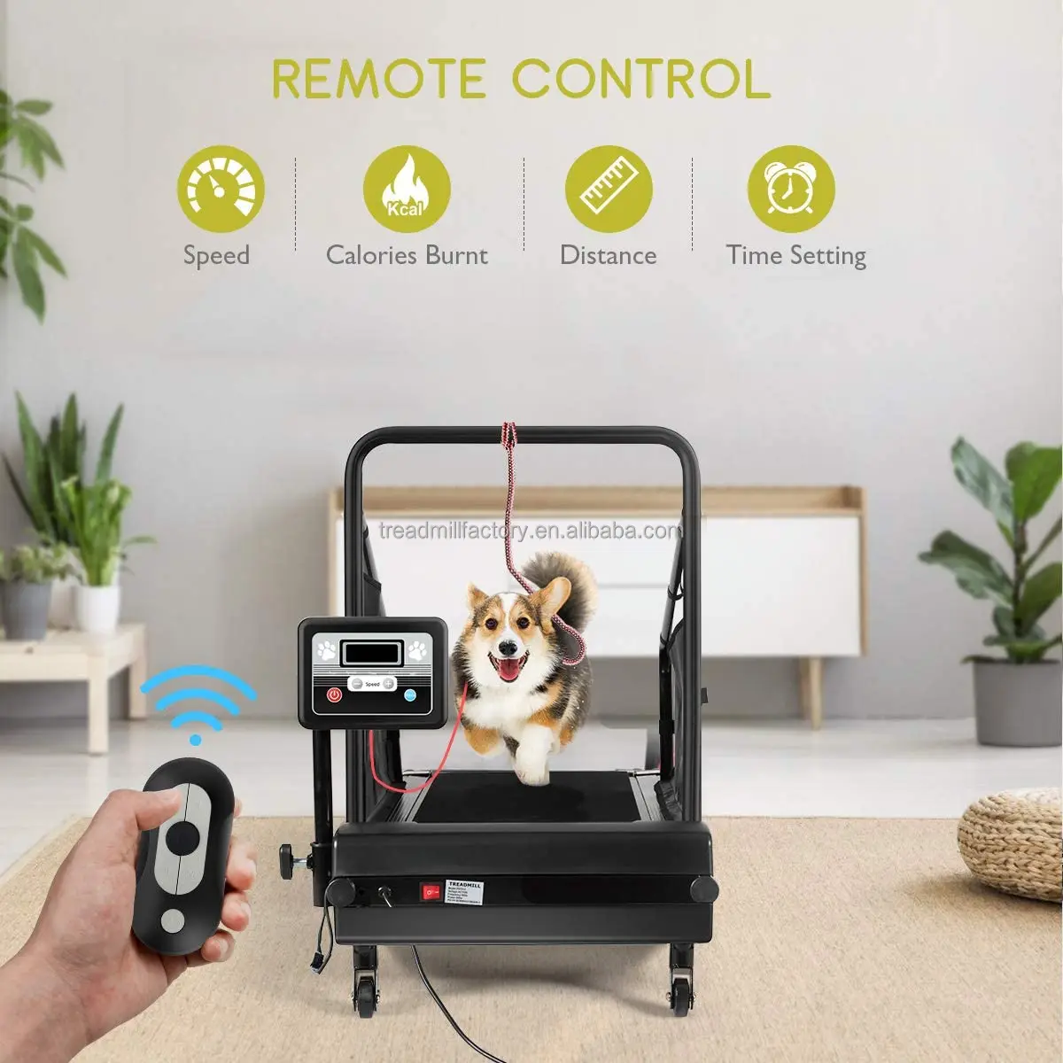 Pet Running Machine For Small/mediumsized Dogs Indoor Exercise Buy