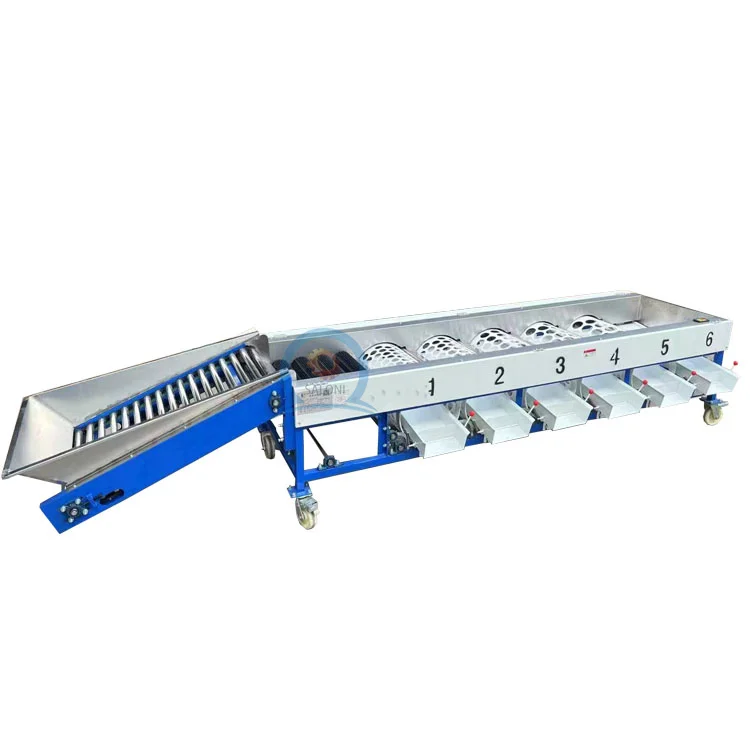Fully Automatic mango Date Cherry Vegetable Fruit Olive Garlic Size Grading Sorting Machine for Fruit and Table