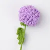 กิ่งดอกเบญจมาศปิงปอง-สีม่วง