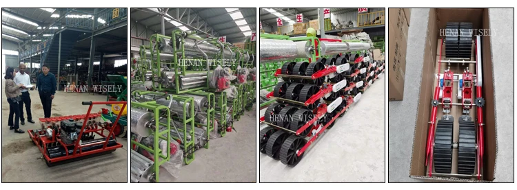 vegetable carrot seeder green onion planter vegetable onion planting machine Sesame cabbage vegetable seed planter