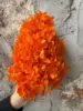 Arancione