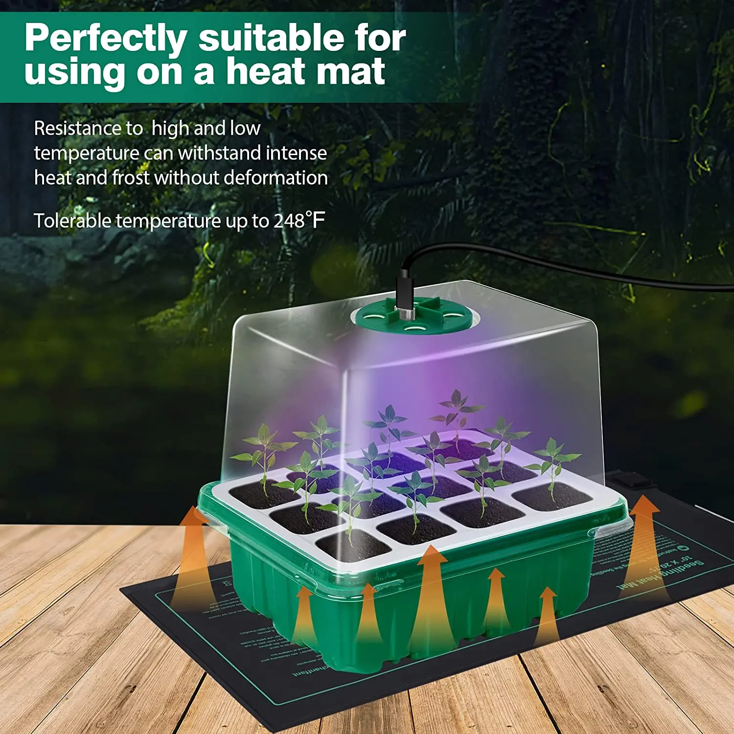 Recyclable PVC PET PS Clamshell Blister Packs for Seeds & Plant Plugs Moisture-Control & Ventilated Tray Design