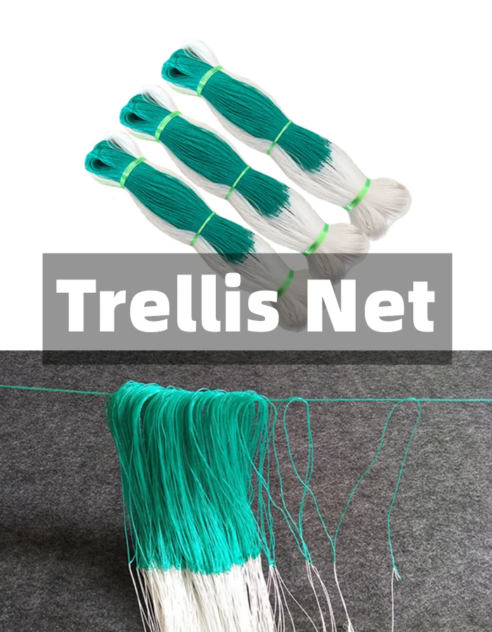 100m Monofilament Cucumber Beans Pea Passion Fruit Watermelon Hanging Melon Towel Gourd and Eggplant Climbing Net Trellis Net