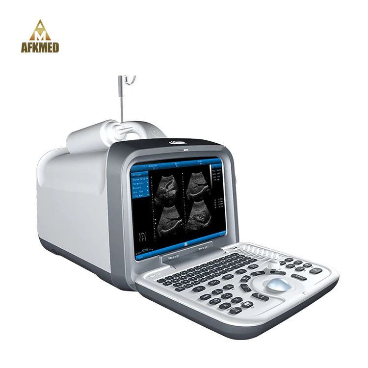 Hot sale 3d veterinary ultrasound dogs cats portable ultrasound medical scan machine