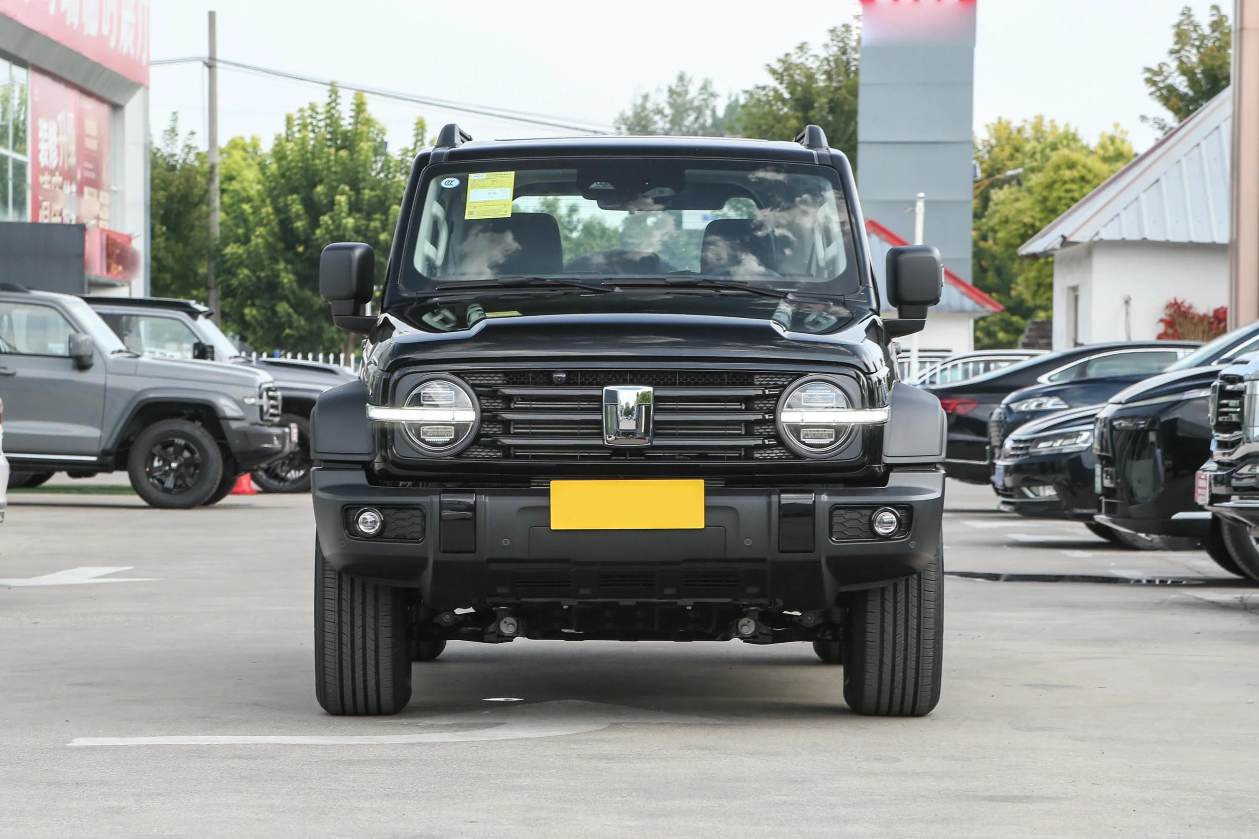 Great Wall Tank 300 2.0T SUV car China brand New models  with good price Gwm tank 300 2024 suv car manufacture