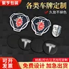 Car logo customization