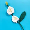 Phalaenopsis bianca