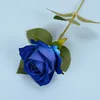 #5 Blue
