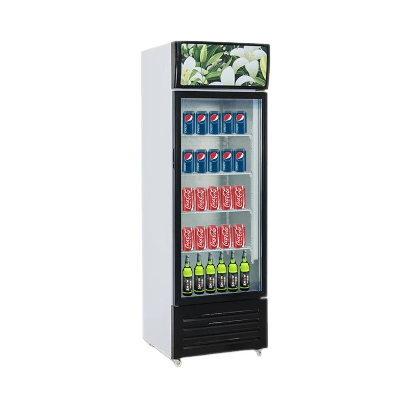 transparent fridge price