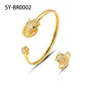 SY-BR0002