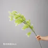 สองสี