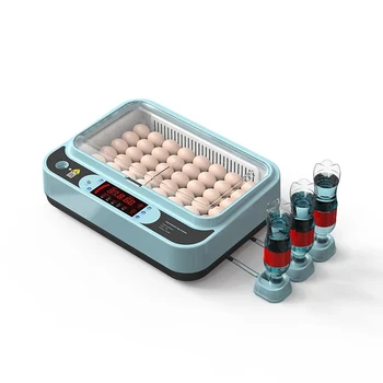 Fully Automatic Dual Power Supply 6 Eggs Incubator Cheap Small Egg Incubator Chicken Egg Incubator