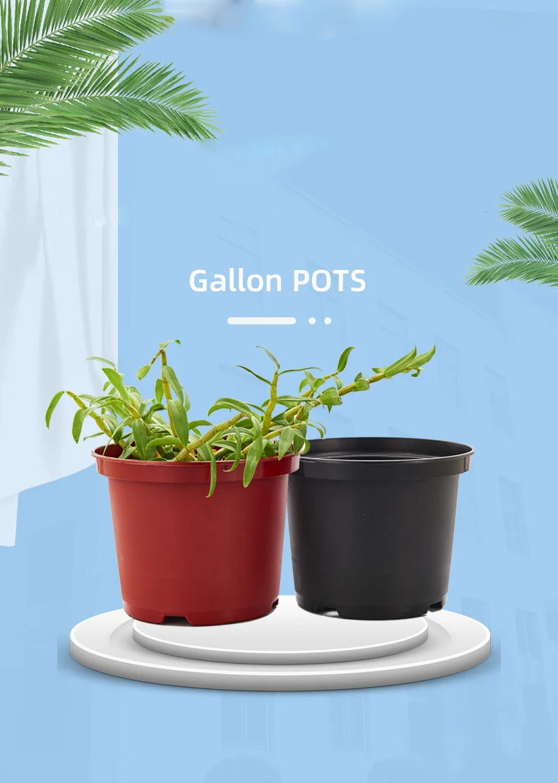 Large Transplant Indoor Seedling Potted Plants Gallon Pot Plastic