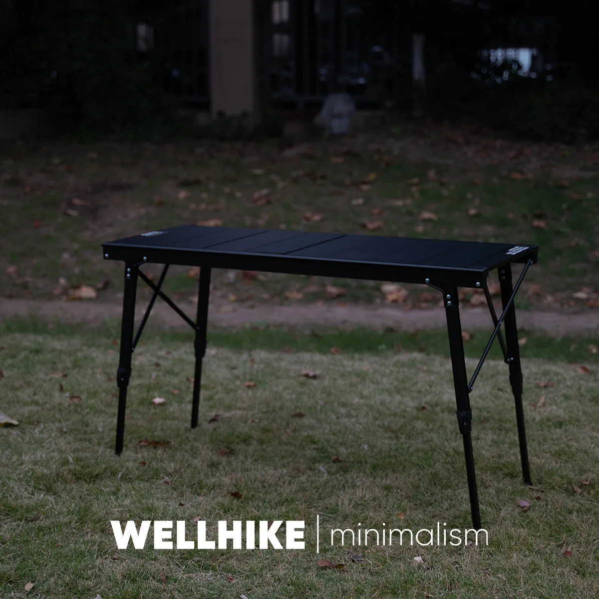 WELLHIKE Adjustable Height Aluminum Folding Camping Table for 4