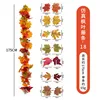 Maple vines - 18