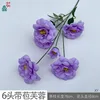 6-headed hibiscus with buds XY purple