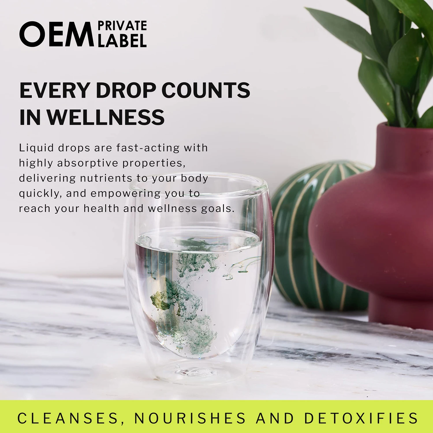 Organic Liquid Chlorophyll Drops Energy Boost Immune Support Internal