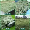 Jungle camouflage