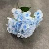 Azzurro di cielo