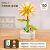 Golden Chrysanthemum