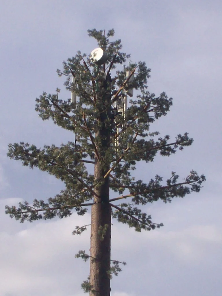 product-1-1 product-1-1