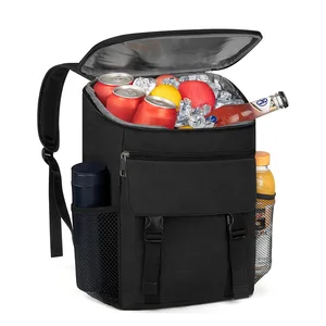 Insulated Leakproof Portable Lunch Bag with Adjustable Shoulder Strap Box for Office, Work, Picnic, Hiking and Beach