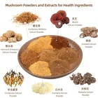 Organic Pure Nature Ophiocordyceps Dong Chong Xia Cao Mushroom Cordyceps sinensis Extract Powder for Health Ingredients