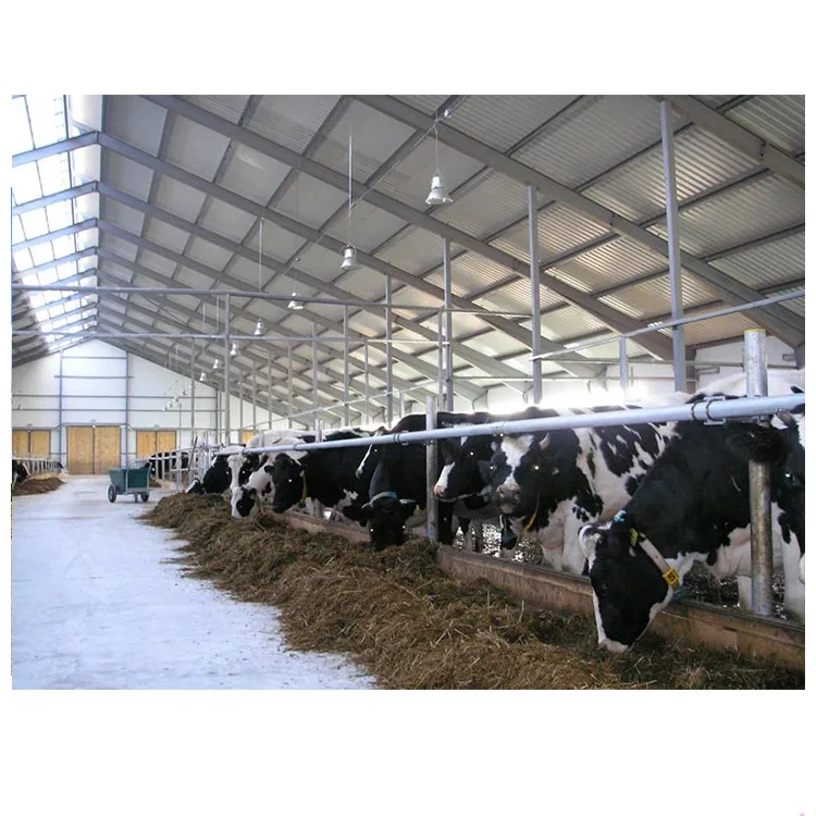 Low Cost Prefab Metal Steel Structure Cowshed / Horse /Sheep Farm Building / Barn / Stable for Sale