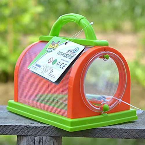 Terrarium Papillon PETSOOO – Filet 91x61x59 Cm – Élevage Et Observation – Jardin, école, Nature