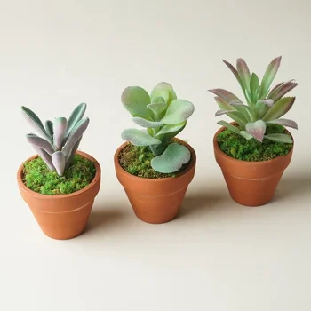 Artificial Succulents Plants Clay Pot Mini Succulent Small Faux Succulents Sets Indoor Plants for Home Office Room Decor