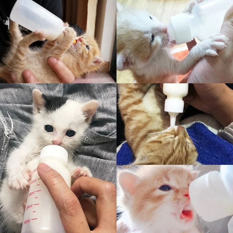 50cc Newborn Animal Feeder Plastic Pet Milk Bottle White Cat Rabbit Dog Milk Feeder With 4 Nipple