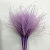 Sweet potato purple