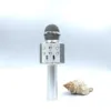 [Silver] 858 (English)