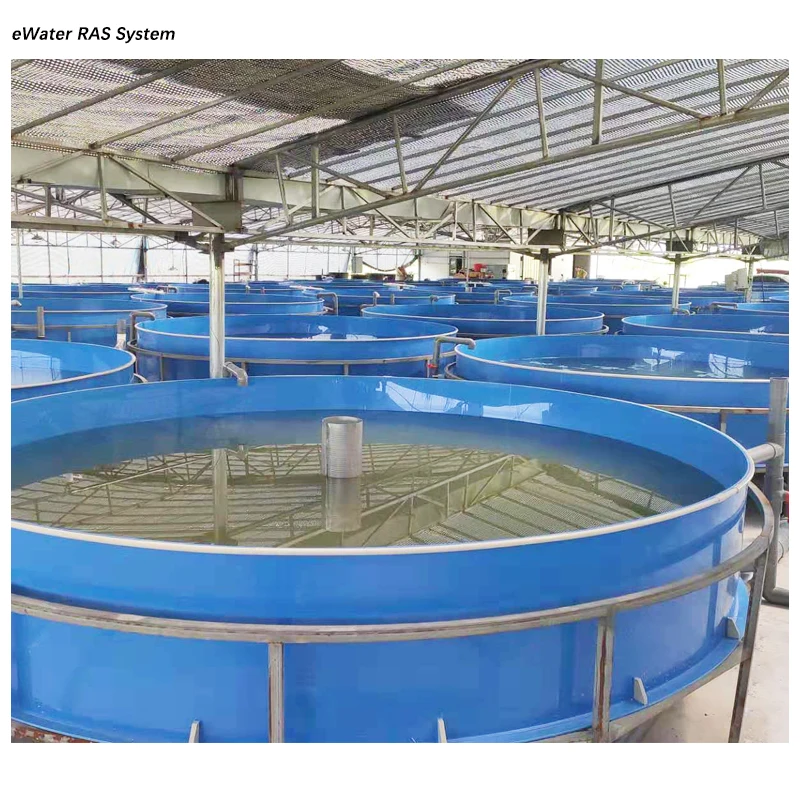 Fresh Water Prawn Shrimp Farming Equipment Ras Fish Farming Equipment