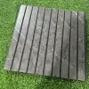 WS30010B