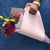 Colore rosa