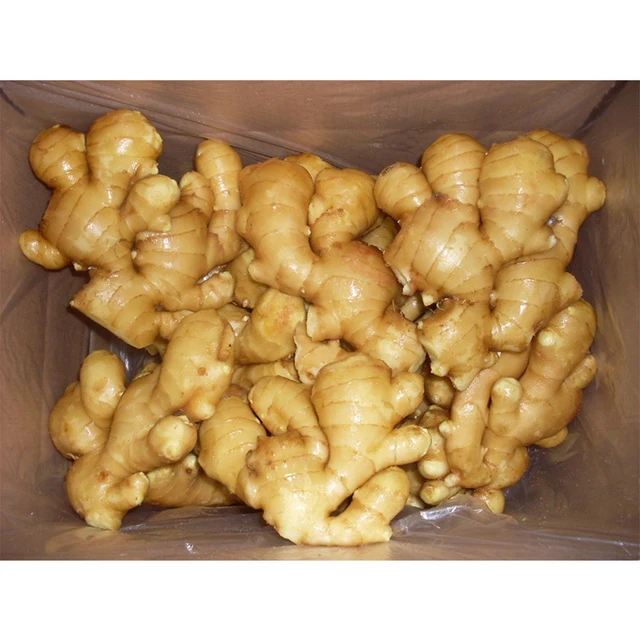 Wholesale Best Selling Organic Fresh Ginger With Cheap Price